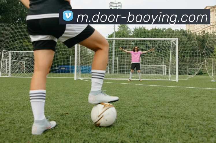 宝盈体育平台生态图