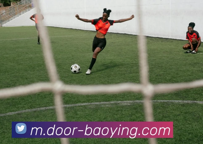 宝盈体育APP 封面图